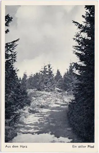 Ansichtskarte Deutschland Ein stiller Pfad - Aus dem Harz 1955