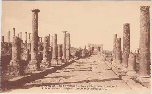 Postcard Timgad Decumanus Mayimus way 1922