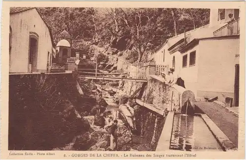 Postcard Chiffa Le Ruisseau des Singes traversant l'Hôtel 1922