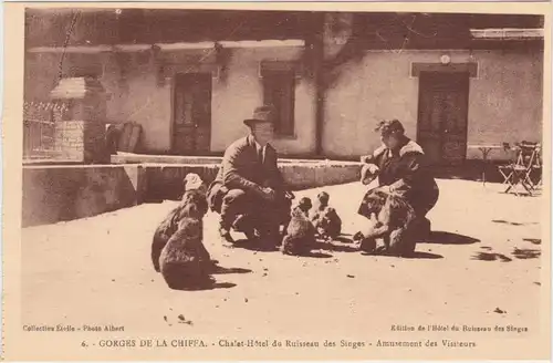 Chiffa Chalet-Hôtel du Ruisseau des Singes - Amusement des Visiteurs 1922