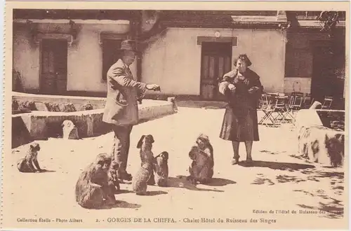 Postcard Chiffa Charlet-Hôtel du Ruisseau des Singes 1922