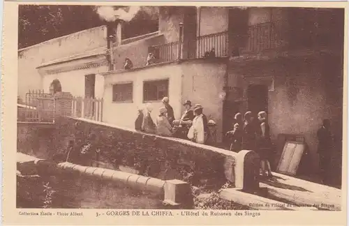 Postcard Chiffa l'Hôtel du Ruisseau des Singes 1922