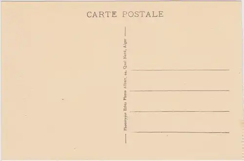 Postcard Chiffa Les Singes à l'Abreuvoir 1922