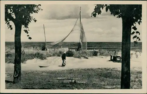 Ansichtskarte Ahlbeck (Usedom) Fischernetz in der Düne 1953