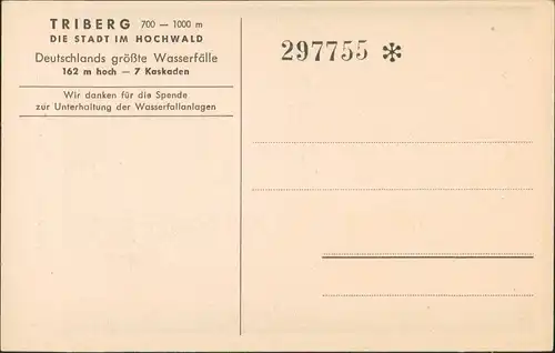 Ansichtskarte Triberg im Schwarzwald Künstleransichtskarte Schwarzwald Eintritskarte 1928