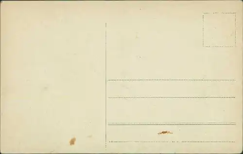 Ansichtskarte Dresden Brand der Dresdener Vogelwiesen 1909