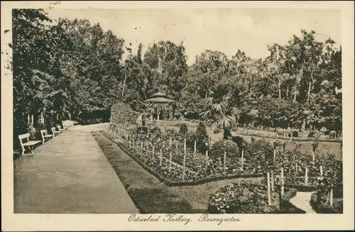 Postcard Kolberg Kołobrzeg Partie im Rosengarten 1922
