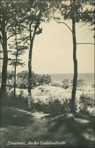 Ansichtskarte Zinnowitz An der Teufelsschlucht 1956