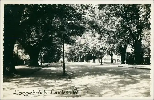 Foto Langebrück-Dresden Lindenalllee 1936 Privatfoto