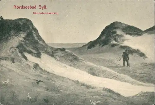 Ansichtskarte List auf Sylt Dünenlandschaft 1909
