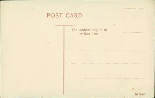 Postcard Pretoria Tshwane The famous Wonderboom 1909