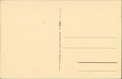 Ansichtskarte Großpostwitz Budestecy Blick auf die Stadt 1923