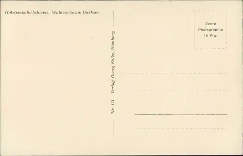 Ansichtskarte Gremsmühlen-Malente Waldpartie am Dieksee 1930