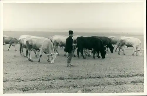 Bulgarien (allgemein) Trachten/Typen (Bulgarien) Hirte 1955 Privatfoto 