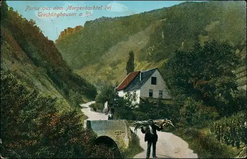Ansichtskarte Trechtingshausen Partie im Morgenbachtal 1916