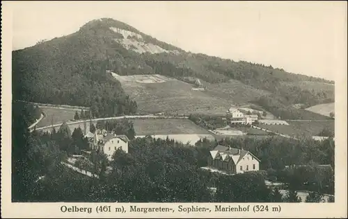 Ansichtskarte Königswinter Oelberg Marienhof 1916