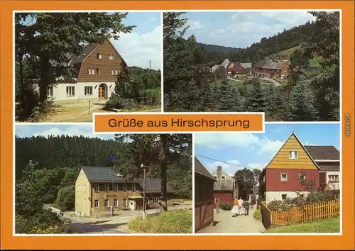 Hirschsprung-Altenberg Erzgebirge) "Buschhaus", Teilansicht, Ladenmühle 1987