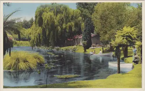 Postcard Rotorua Hamurana Springs 1938