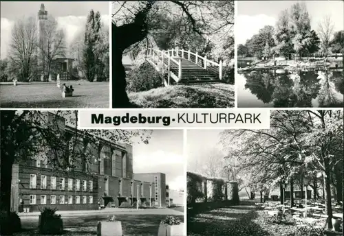 Ansichtskarte Werder-Magdeburg Stadtpark/Kulturpark Rotehornpark 1980