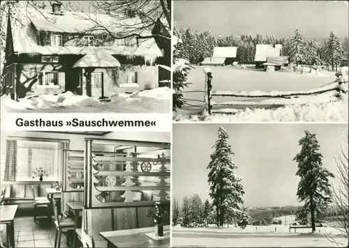 Ansichtskarte Johanngeorgenstadt Gasthaus "Sauschwemme" 1981