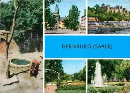 Bernburg (Saale) Bärenzwinger am Schloß, Kurhaus, Blick zum Schloß, 1972 #