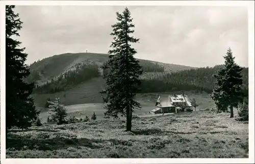 Bernau im Schwarzwald Haus im Wald, Schwarzwald, Wiesen, Fernblick 1929 