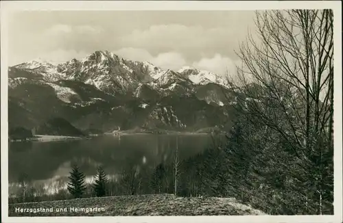 Ansichtskarte Herzogstand (Kochel am See) Herzogstand und Heimgarten 1931 