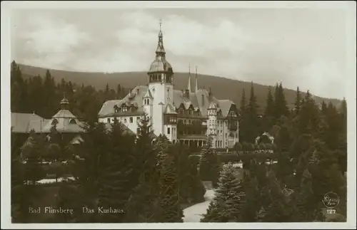 Postcard Bad Flinsberg Świeradów-Zdrój Kurhaus - Foto AK blaustich 1938