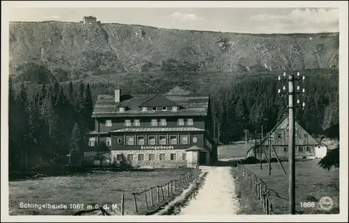 Postcard Krummhübel Karpacz Partie an der Schlingelbaude 1929 