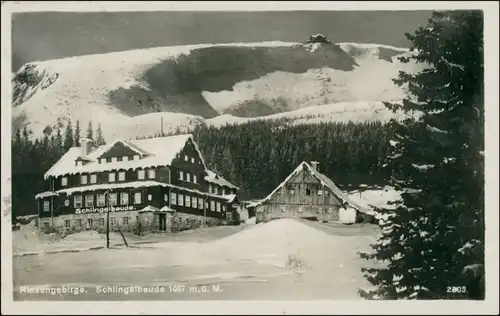 Postcard Krummhübel Karpacz Schlingelbaude - Winter 1936