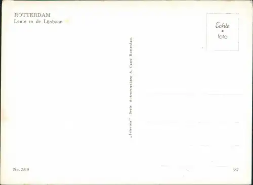 Rotterdam Rotterdam Lente in de Lijnbaan  Shopping-Centre, Fußgängerzone 1965