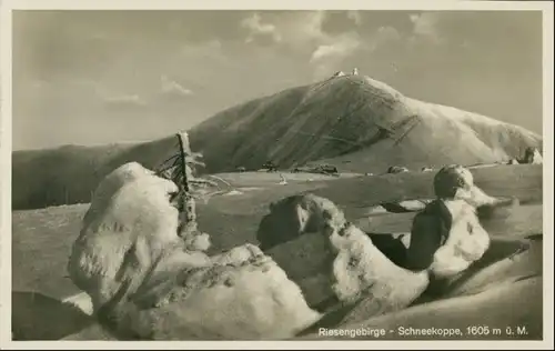 Postcard Krummhübel Karpacz vereiste Schneekoppe 1932