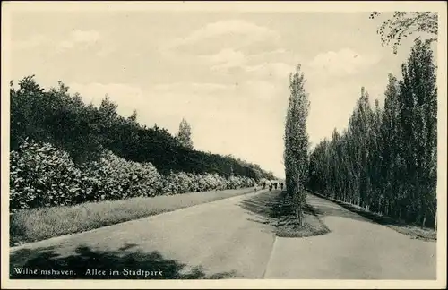 Ansichtskarte Wilhelmshaven Allee im Stadtpark 1930