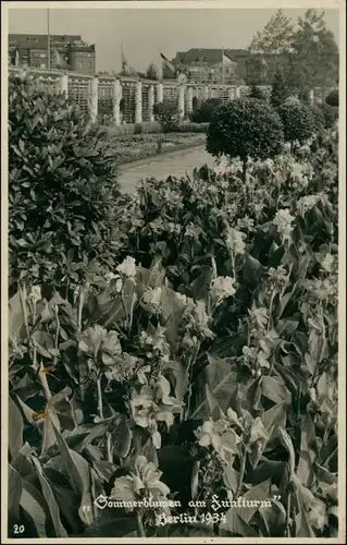 Ansichtskarte Charlottenburg-Berlin Sommerblumen am Funkturm Häuser 1934