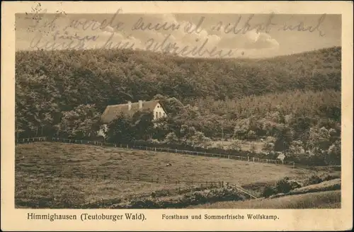 Ansichtskarte Himmighausen-Nieheim Teutoburger Wald - Forsthaus 1927