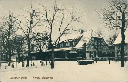 Ansichtskarte Langebrück-Dresden Restaurant - Hofewiese im Winter 1917