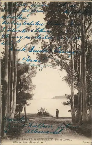 Cannes Allée de Saint-Honorat, Iles de Lérins/Baum Allee am See 1918