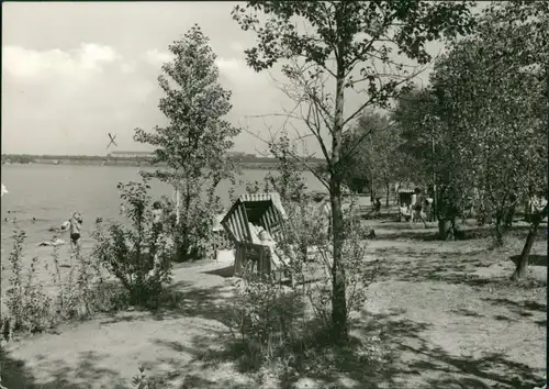 Sandersdorf-Brehna Strandbad mit Strandkörben zwischen den Bäumen 1978