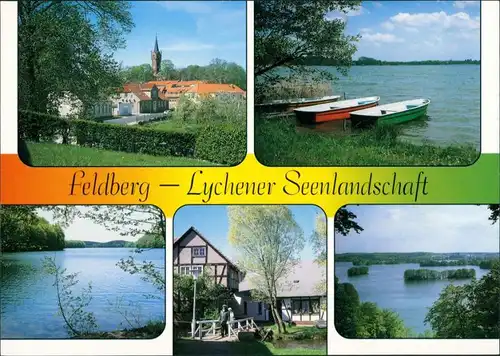 Feldberg-Feldberger Seenlandschaft Großer Lychensee, Schmaler Luzin, Malerwinkel, Blick vom Reiherberg 1999