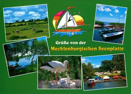.Mecklenburg-Vorpommern Grüße von der Mecklenburgische Seenplatte, Storch, Kleinboote, Kühe auf Weide 2000