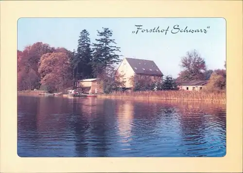 Ansichtskarte Schwarz (Mecklenburg) Forsthof Schwarz vom See aus 1995