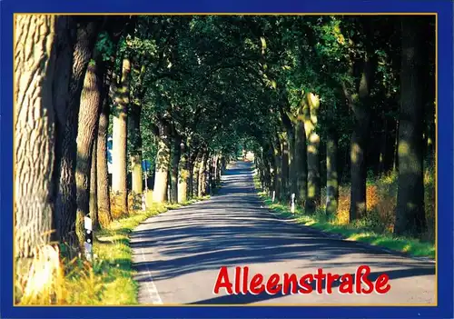 Ansichtskarte .Mecklenburg-Vorpommern Alleenstraße in Mecklenburg 2000