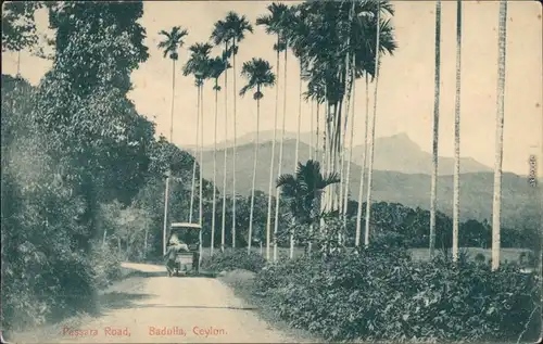 Postcard Badulla Pessara Road 1913 