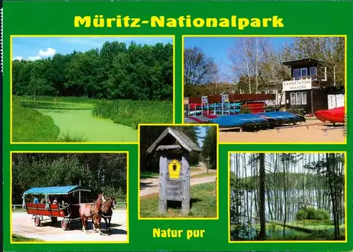 Müritz Nationalpark - Teuch mit Uferbereich, Kanustation, Kutsche 1998