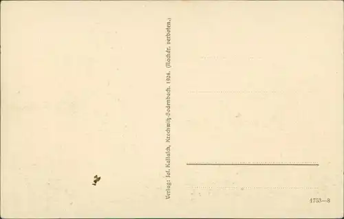 Postcard Tetschen-Bodenbach Decín Blick auf die Stadt 1927