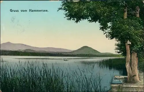 Postcard Hammer am See (Hamr na Jezeře) Hamerský rybnik / See 1908