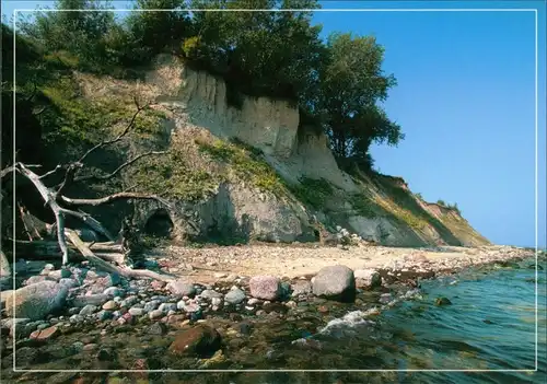 .Mecklenburg-Vorpommern Insel Usedom: Küste Klippe Stein und Holz 2005
