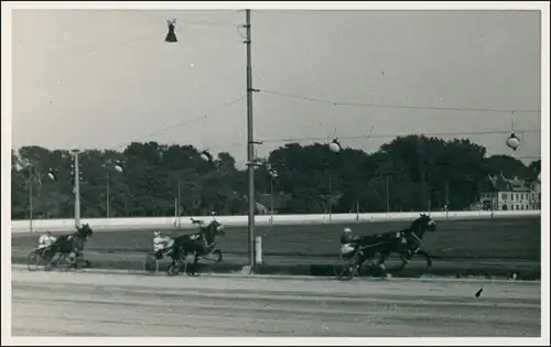 Echtfoto Galopprennbahn, Pferde Sport, Ort unbekannt 1950 Privatfoto