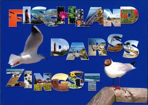 Fischland Diverse Ansichten in Schrift, Möwe, Vögel, ungelaufen 2004
