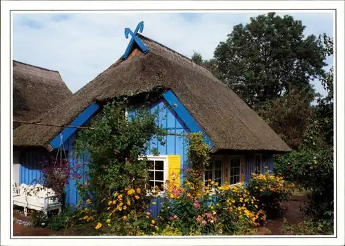Fischland Ried gedecktes Wohnhaus, Land zwischen Bodden und Meer, Ostsee 2002